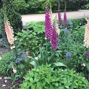 Meet your Posher, Nhu